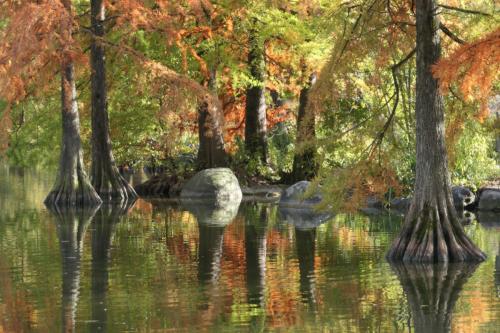 Herbststimmung in grün und rot im Münchner Westpark am Wasser