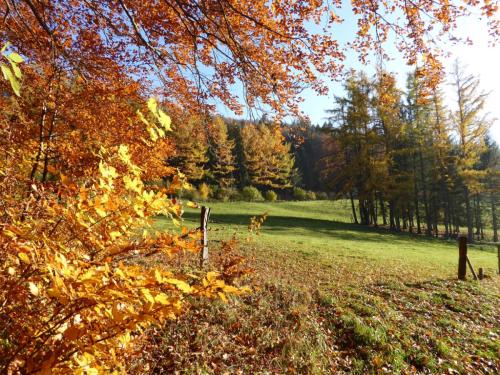 Herbststimmung in Oberbayern 