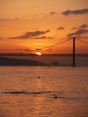 Sonnenuntergang am Tejo und Blick auf Brücke: alles erscheint in Orange (Hochkant)