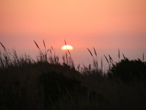 Sonnenuntergang und Gras in Sitio/Nazare – fast wie in der Steppe