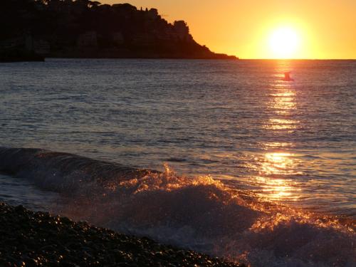 Sonnenaufgang, glitzerndes Wasser mit Möwe im Sonnenlicht in Nizza