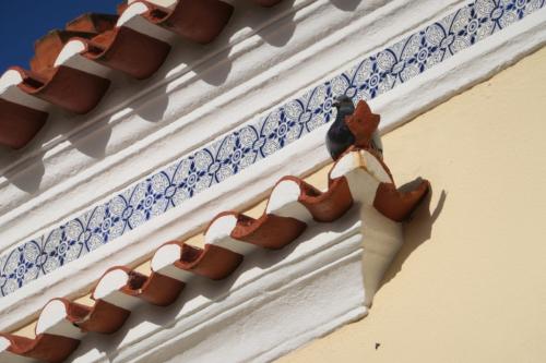 Taube auf portugiesischem Dachsims in Nazare