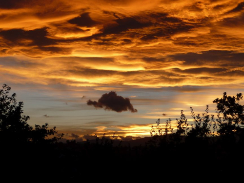 In Nizza wurde ein fliegender Wolken-Elefant im Sonnenuntergang gesichtet