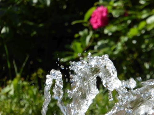 Wasser im Brunnen bildet als Wasserfigur ein Seepferdchen, München