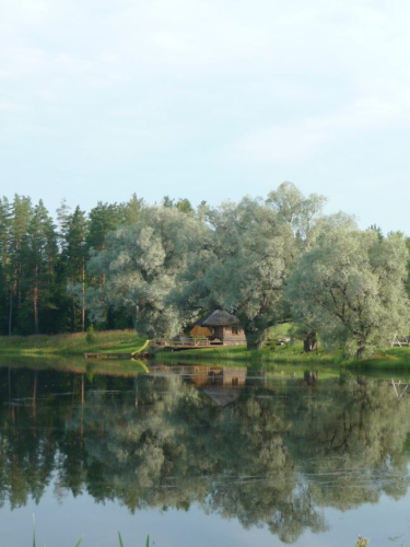 Auf einem Landgut in Lettland: Blick über den See auf einen traumhaften Baum mit Badehäuschen