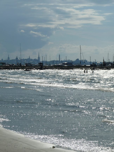 In der Ostsee Badende mit Blick auf Tallinn