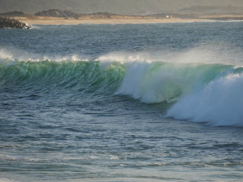 Glasklare Welle grün-weiß in Nazare